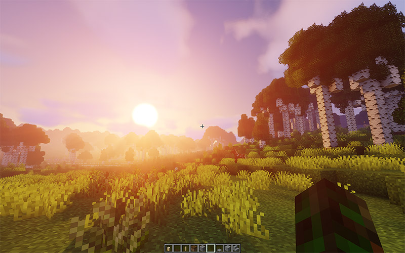 Landschaft auf dem Lionhold Community Server (TerraForged)